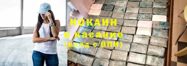 ПСИЛОЦИБИНОВЫЕ ГРИБЫ Арсеньев