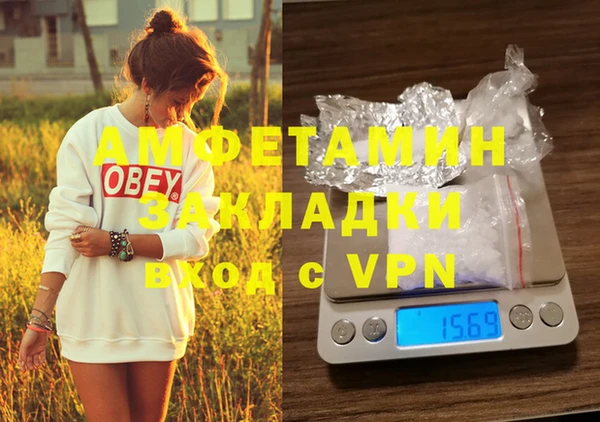 ешки Аркадак