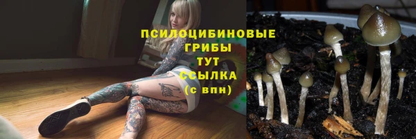 экстази Армянск