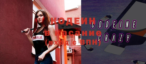 ПСИЛОЦИБИНОВЫЕ ГРИБЫ Арсеньев