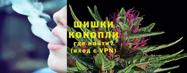 ПСИЛОЦИБИНОВЫЕ ГРИБЫ Арсеньев